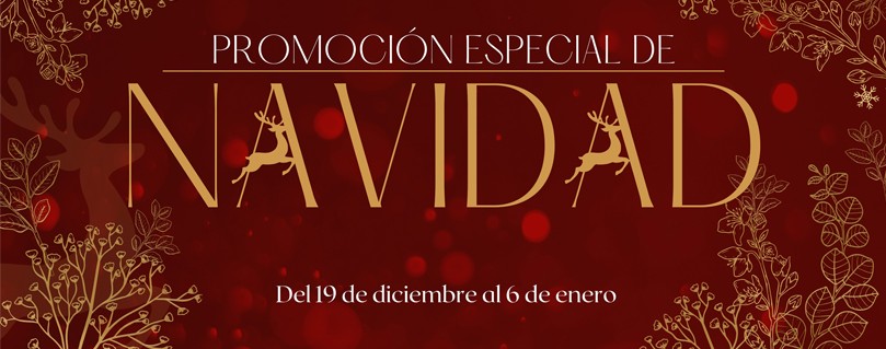 CAMPAÑA NAVIDAD 2025